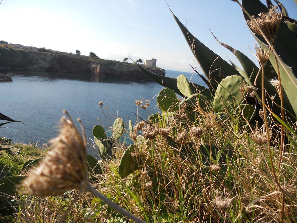 Case Vacanze Terra Sinus Terrasini Bagian luar foto