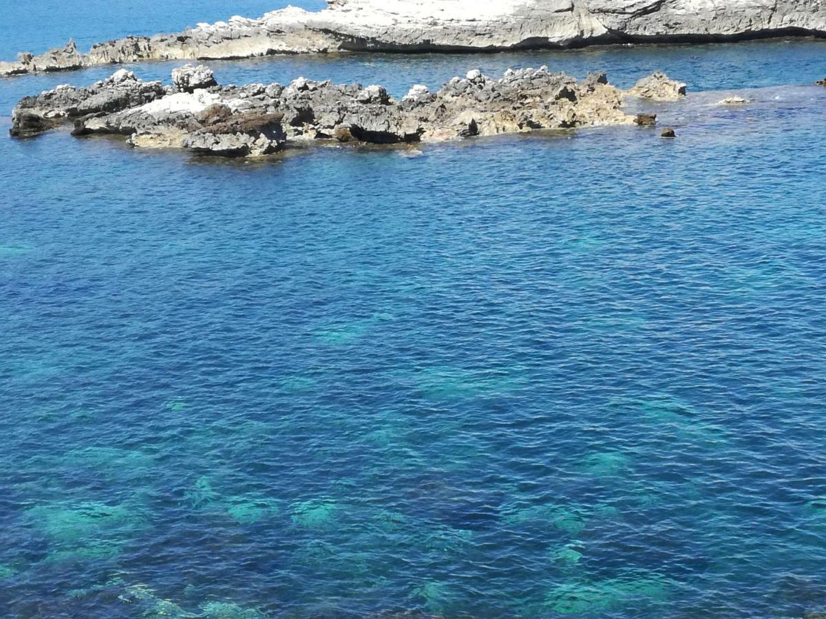Case Vacanze Terra Sinus Terrasini Bagian luar foto